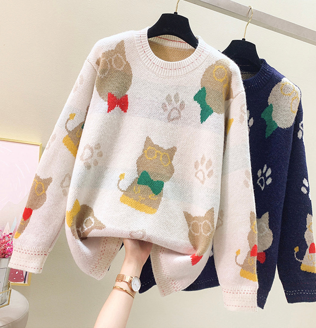 Lovely loose long sleeve sweater 049