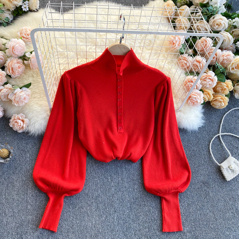 Elegant high neck long sleeve sweater 021