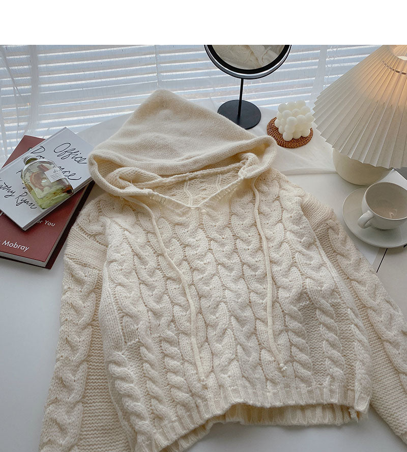 Kapuzenpullover im Nischendesign mit langen Ärmeln und kurzem Strickoberteil 5854