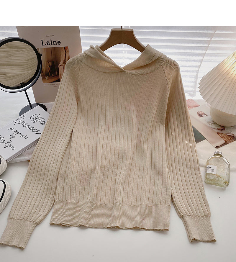Einfacher Freizeit-Pullover mit langen Ärmeln und Kapuze 6556