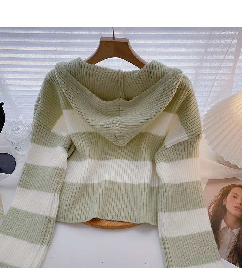 Lässiger Kurzstreifenpullover mit Kapuze Pullover Top 6461