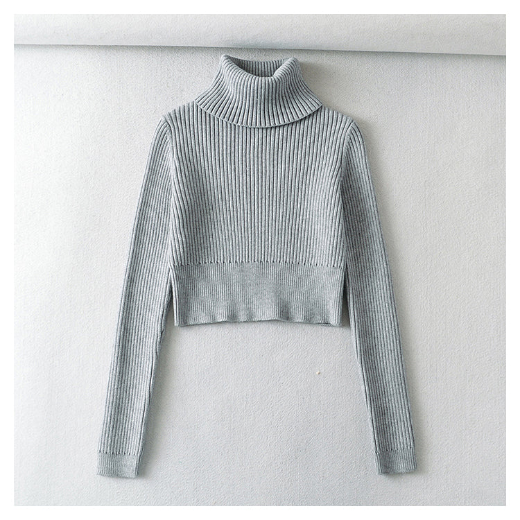 American Vintage Rollkragenpullover Pullover Top 7198