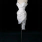 Weißes Homecoming-Kleid, kurz, stilvoll, Tüll, Ballkleid, Abendkleid, Geburtstagskleid, gh4473