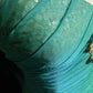 Green Gorgeous Shiny Elegant Long Tulle Mermaid Slim Fit Sequin Ball Gown Evening Gown Party Dress Prom Gown gh3848