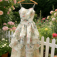 Robe en organza à imprimé floral rose et vert à volants - Robe printanière style frais gh6966