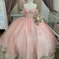 Rosa Glitzer Off-Shoulder Kristall Applique Spitze Tüll Süße Lange Ballkleid Abendkleid Erwachsene Zeremonie Kleid Graduierung Kleid gh3133