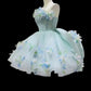 Floral Short Tulle Back-to-School Dress Birthday Dress Party Dress gh6850