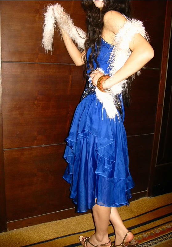 Royal Blue Vintage Sequin Spaghetti Strap Fitted Waist Luxury Prom & Evening Party Dress gh8385