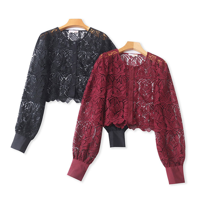 Spring and Autumn High-Waisted Crocheted Hollow-Out Embroidered Lace Shirt for Women, Elegant and Slimming, Unique Long-Sleeved Top  11390
