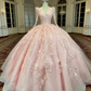 Blush Pink Royal Style Ball Gown - V-Neck Lace Embroidery Coming-of-Age Dress gh6967