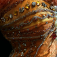 ✨Girlhomeshops-Orange Spaghetti Strap Mermaid Gown Feather 3D Beaded Floral gh10139