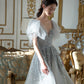 Langes Ballkleid aus grauem Tüll mit Pailletten A-Linie Abendkleid 10574