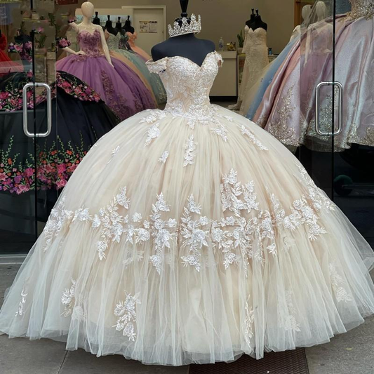 Champagner wunderschöne exquisite Spitzenapplikationen schulterfrei langes Quinceanera-Kleid 15 Jahre alt Ballkleid Debütantinnenkleid Ballkleid gh981