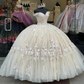 Elegantes, schulterfreies, langes, champagnerfarbenes Quinceanera-Kleid mit Spitzenapplikationen, Prinzessinnenkleid gh2514