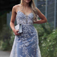 Stunning Dsuty Blue Tulle Long Formal Dress with Appliques gh2305