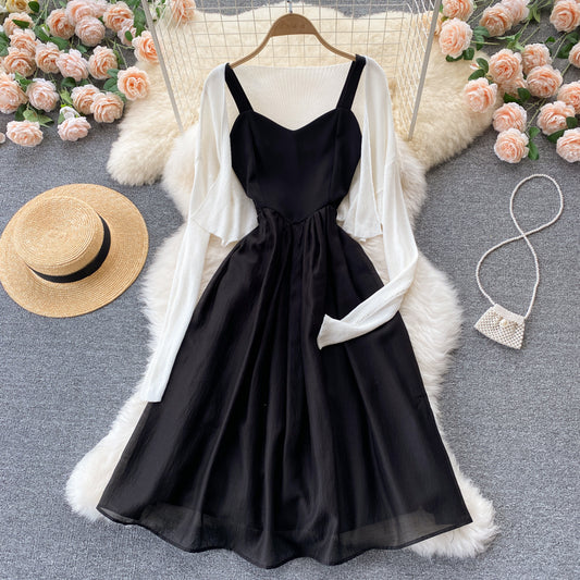 Süßes zweiteiliges Kleid A-Linie Modekleid 437