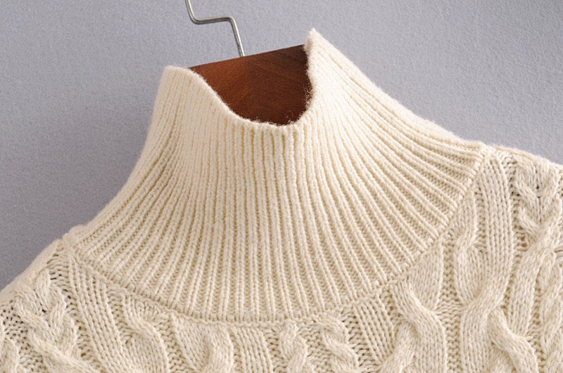 Pull col roulé femme pour l'automne en tricot à huit brins 1370