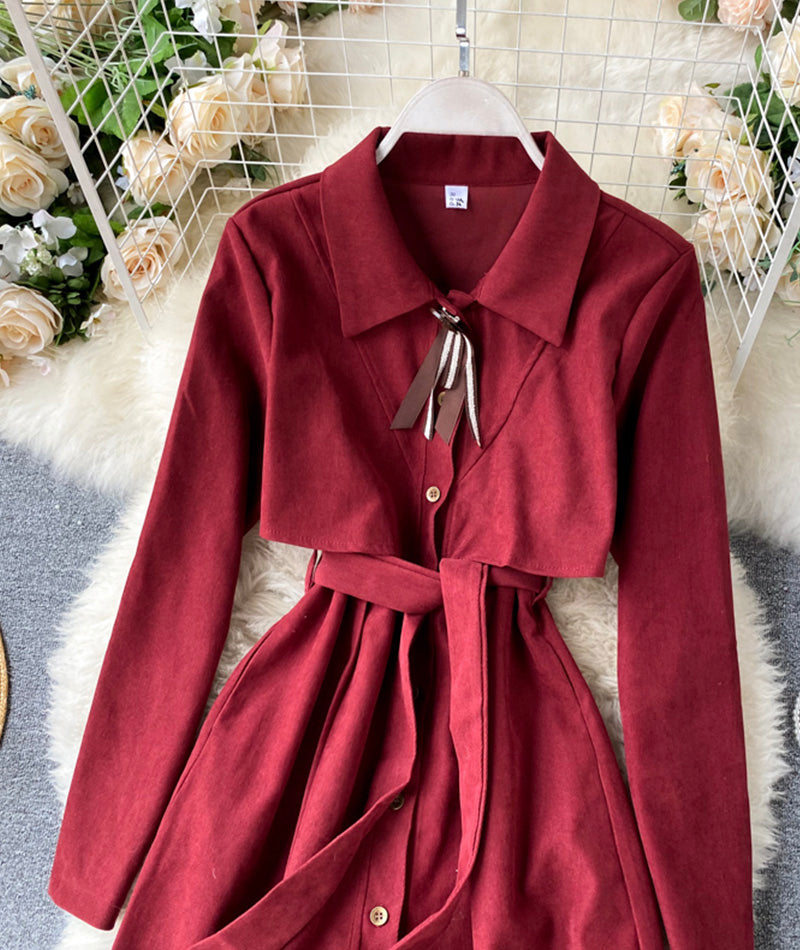 Cute A line long sleeve dress  1002