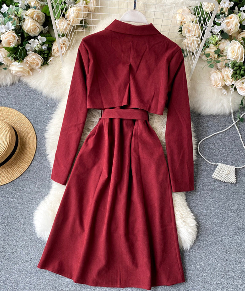 Cute A line long sleeve dress  1002