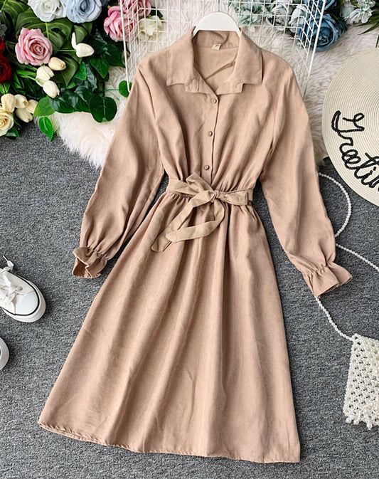 Niedliche A-Linie Langarmkleid Herbstkleidung 1068