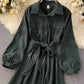 Stylish A line long sleeve dress  952