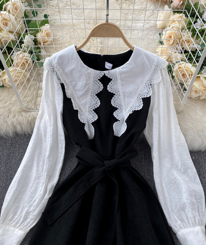 Cute A line long sleeve dress fashion dress  927