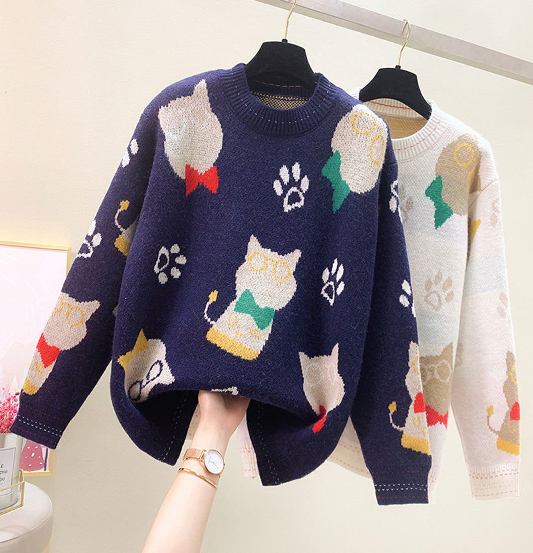 Lovely loose long sleeve sweater  049