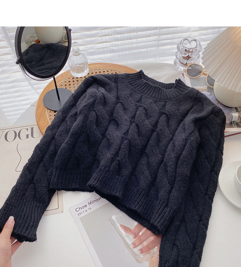 Neue koreanische kleine Subnetz-Rotjacke 5947
