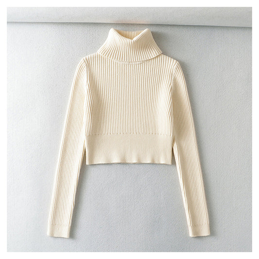 American Vintage Rollkragenpullover Pullover Top 7198