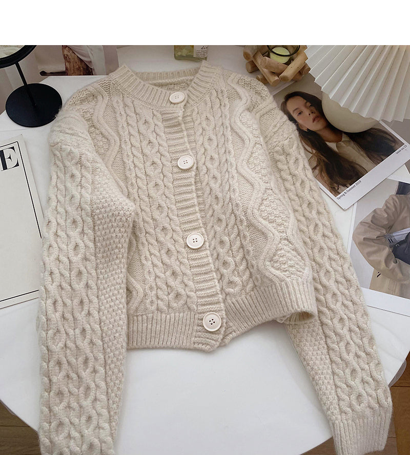 Single breasted round neck Vintage twist sweater  6114