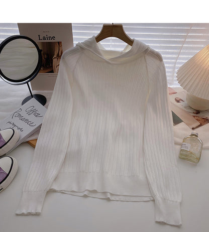 Einfacher Freizeit-Pullover mit langen Ärmeln und Kapuze 6556