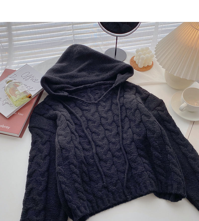 Kapuzenpullover im Nischendesign mit langen Ärmeln und kurzem Strickoberteil 5854