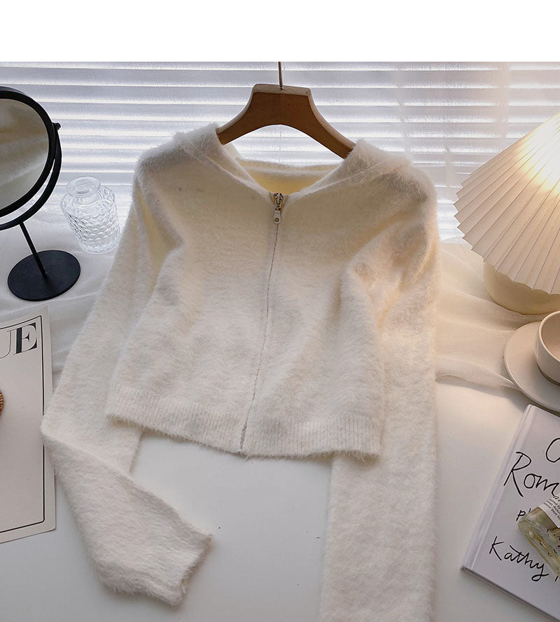 Haut à capuche polyvalent à manches longues de style étranger coréen court 5859