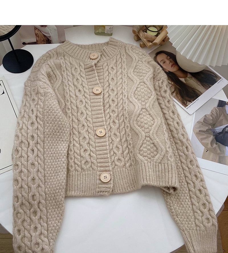 Single breasted round neck Vintage twist sweater  6114