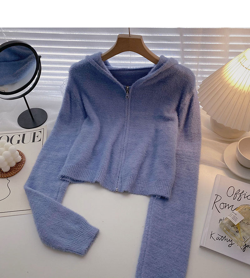 Haut à capuche polyvalent à manches longues de style étranger coréen court 5859