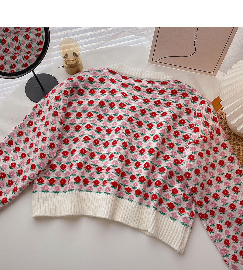 Veste courte à manches longues en tricot pour femme 5848
