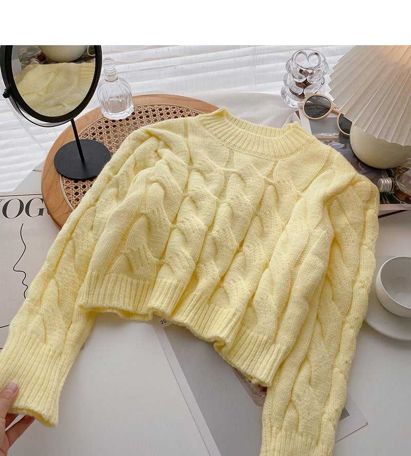Neue koreanische kleine Subnetz-Rotjacke 5947