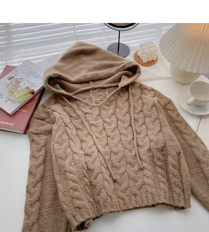 Kapuzenpullover im Nischendesign mit langen Ärmeln und kurzem Strickoberteil 5854
