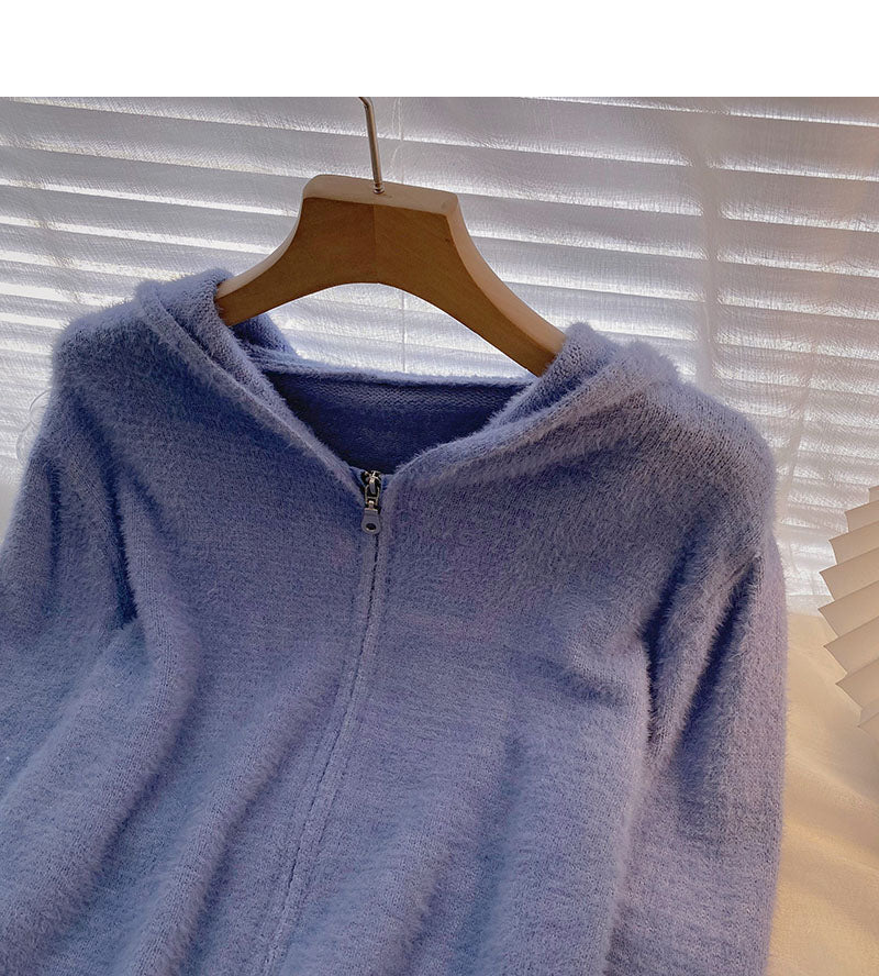Haut à capuche polyvalent à manches longues de style étranger coréen court 5859