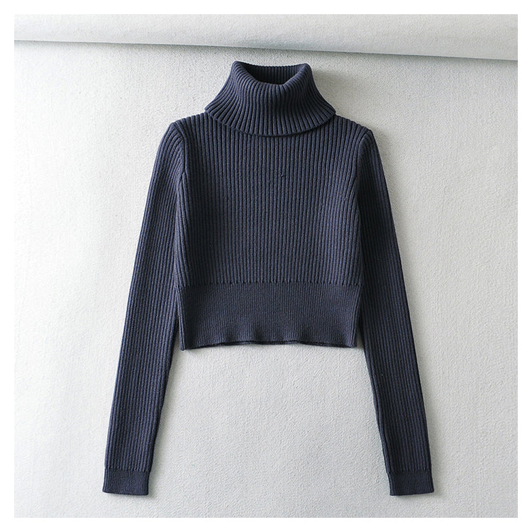 American Vintage Rollkragenpullover Pullover Top 7198