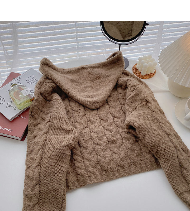 Kapuzenpullover im Nischendesign mit langen Ärmeln und kurzem Strickoberteil 5854