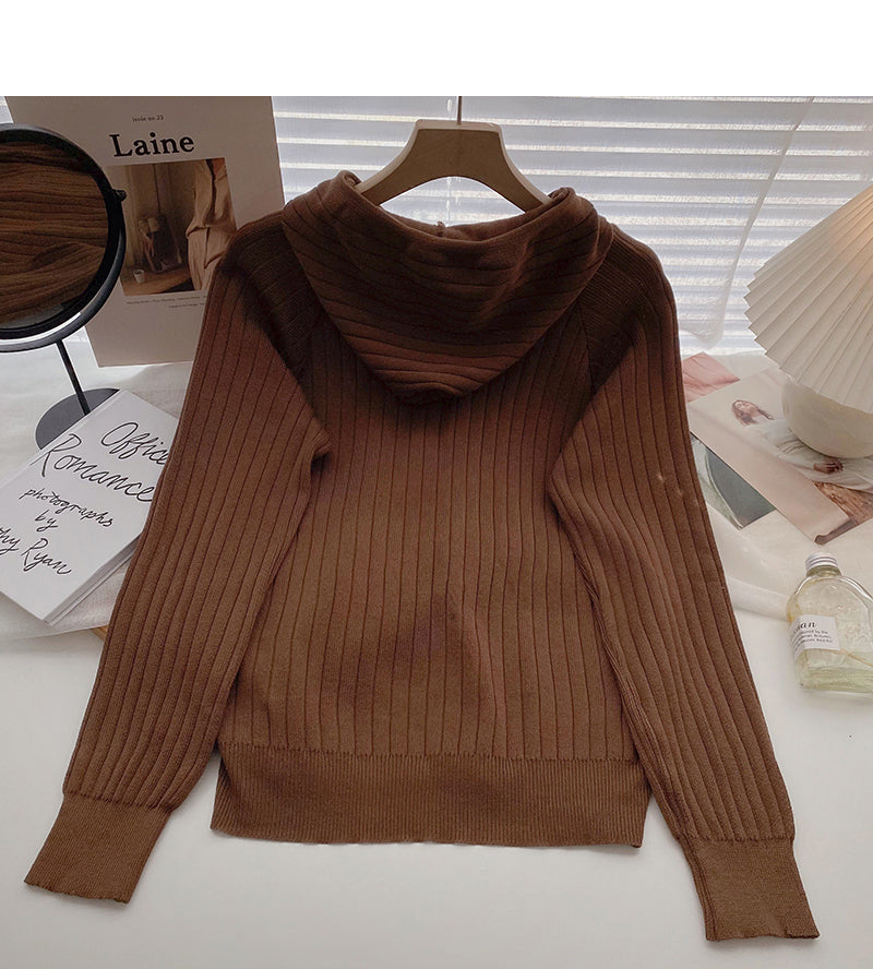 Einfacher Freizeit-Pullover mit langen Ärmeln und Kapuze 6556