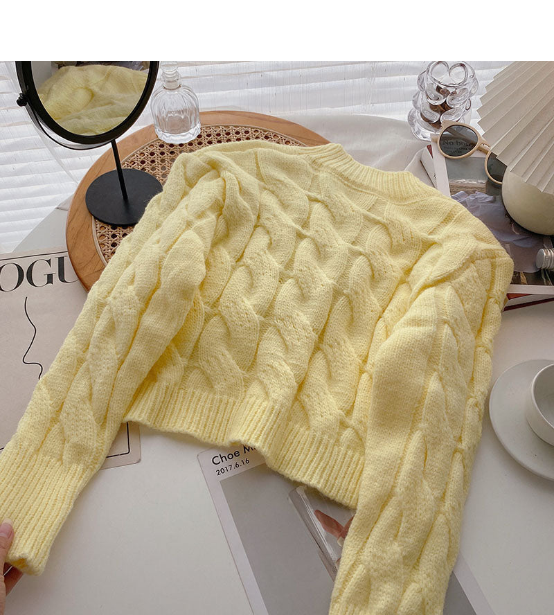 Neue koreanische kleine Subnetz-Rotjacke 5947