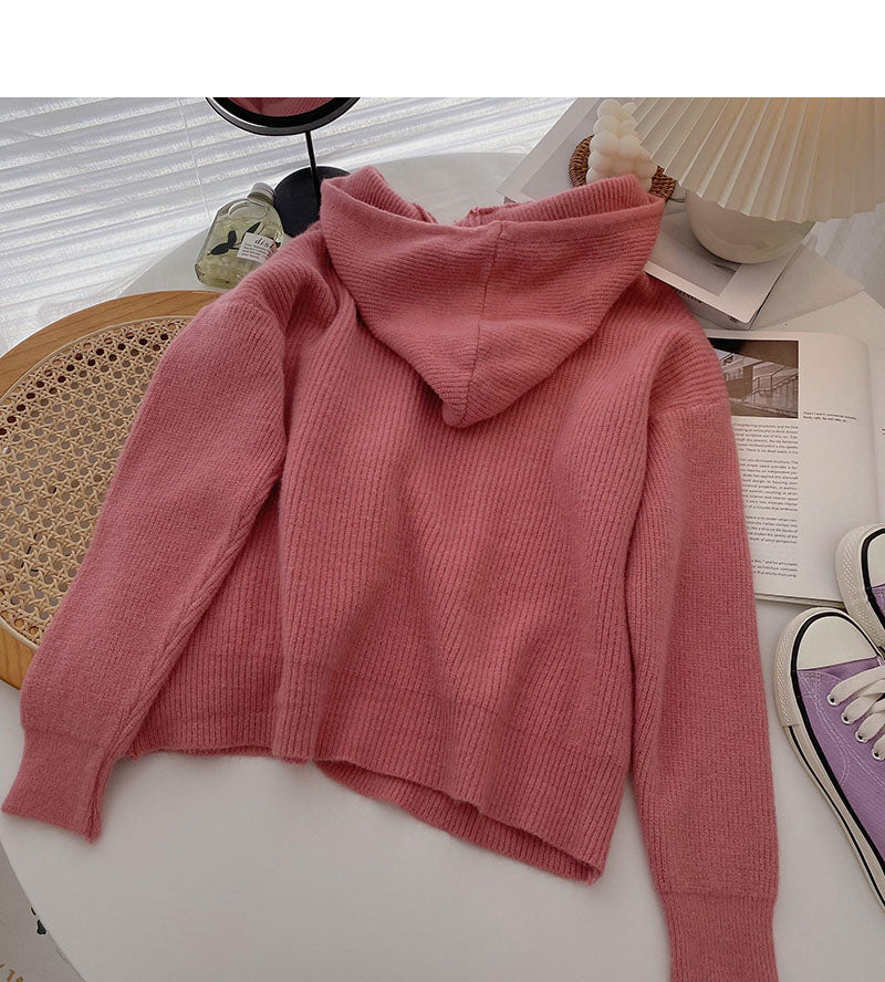 Pull femme style paresseux couleur unie manteau ample à capuche 5927