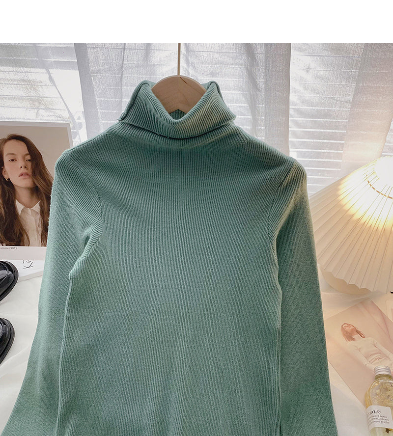 Knit bottomed shirt with slim fit top inside  6567