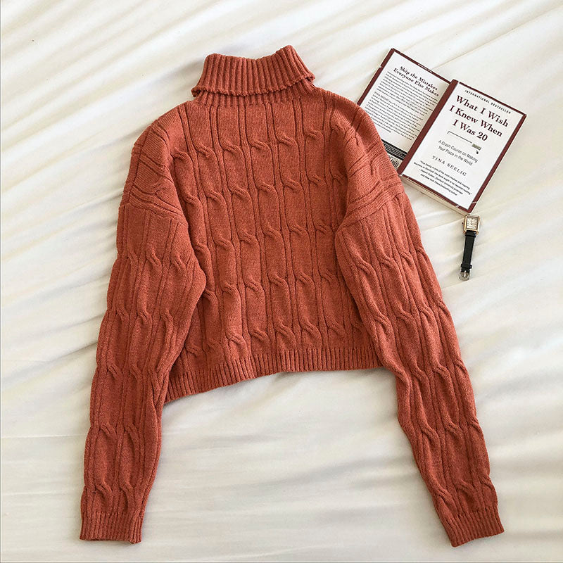 Trendy Hong Kong Style loose short long sleeve top  5841